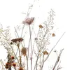 max_flowers__💐 - @max_flowers__ - TikTok
