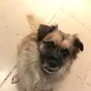 Max Floyd - @max.floyd - TikTok