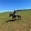 maxfloyd208 - @countrywarrior6 - TikTok