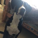 Maxfloyd - @maxfloyd9444 - Instagram