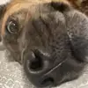 Max Foreman - @max._.foreman - TikTok