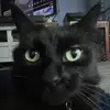 maxforeman_12 - @maxforeman_12 - TikTok