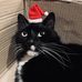 Max Gagnon - Facebook