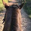Max Gallegos - @max.gallegos - TikTok