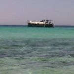Max Gallo - @max.gallo.7355 - Instagram