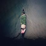 Max Gallo - @max_gallo187 - Instagram
