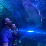 Max Garrison - @mgarrison44 - Instagram