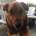 @max_in_garrison - Instagram