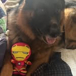 Max Gibbons - @maxgibbons_is_life - Instagram