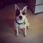 Max Glaser - @maxglaser96 - Instagram