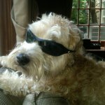 maxglaser47 - @maxglaser47 - Instagram