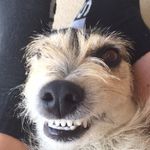 max Godfrey - @_maxmule_ - Instagram