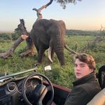 Max Godfrey - @max.godfrey - Instagram