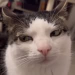 max goss - @petremmy - Instagram