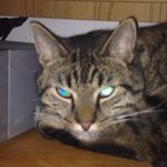 Max Grady - @maxgrady345 - Instagram