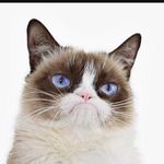 Max Grady - @grumpy_maxg - Instagram
