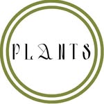 Max Gruen Plants - @max_groen_plants - Instagram