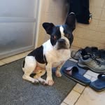 max.groenendijk - @max.groenendijk - Instagram
