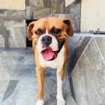 @max.guel - Instagram