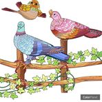 Max Guel Catatau - Facebook