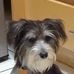 Max Guidry - Facebook