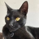 Max Guidry - @magicmaxg - Instagram