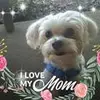 Maxine Guidry - @maxinelouiseguidry - TikTok