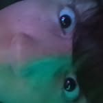 Max gumpert - @max_gumpert - Instagram