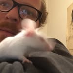 Maximilian Gumpp - @maxgumpp - Instagram