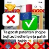 max gunter - @max234666 - TikTok