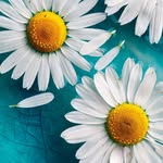 Max Gunter - @maxgunter1968 - Instagram