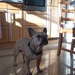 Max Günter - @mr.mxn - Instagram