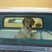 Max Gustafson - Facebook
