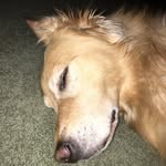 Max Gustin - @its_me_max_45 - Instagram