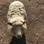 Max Guthrie - @guthrie305 - Instagram