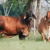 maxguzman528 - @maxguzman528 - TikTok