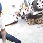 maxguzman - @maxguzman8172 - Instagram