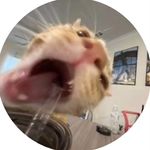 Max - @maxime_hadley - Instagram