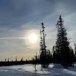 Max - @haglund_max - Instagram