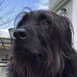 Max Haines - @rufus_haines - Instagram