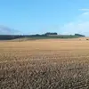 maxhamblin386 - @maxhamblin386 - TikTok