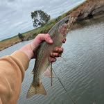 Max Hampel - @max_hampel65 - Instagram