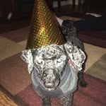 Max Hancock - @hancock_max - Instagram