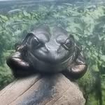 Max Hancock - @notmaxhancock - Instagram