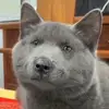 max hancock - @max.hancock - TikTok