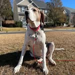 Max Hankins - @maximus_wigglus - Instagram