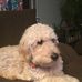 Max Hankins - Facebook