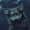 Max Hankins - @mike45263 - TikTok