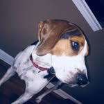 Max Hankins - @maximuswiggilus - Instagram