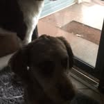 Max Hankins - @maxhankins15 - Instagram